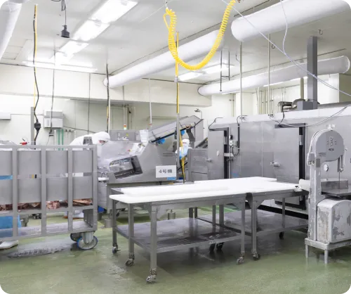 IQF / Line Freezer