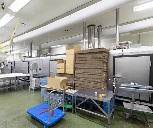 IQF / Line Freezer