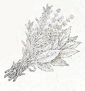 香辛料